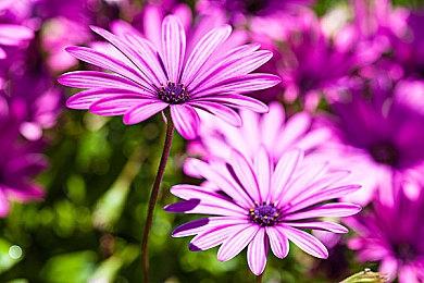 PSVR2国行版2月22日全球同步发售 定价4499元